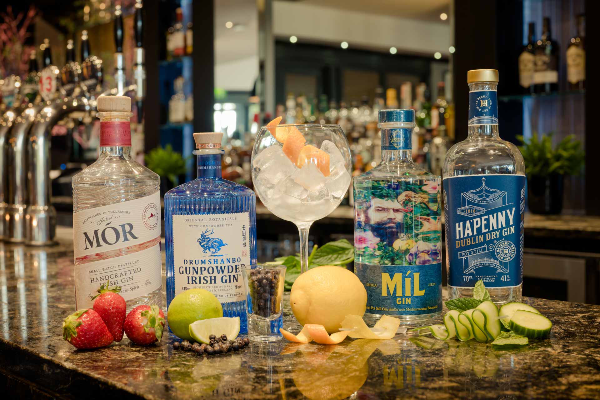 Iveagh Bar in Dublin Ashling Hotel Dublin