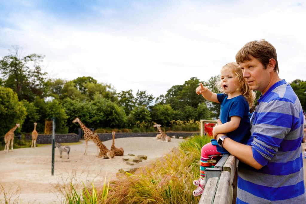father and child overlooking animals at Dublin Zoo