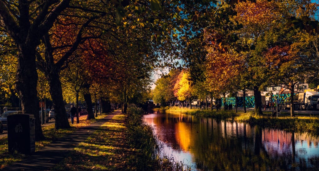 Autumn Dublin Canal at Dusk