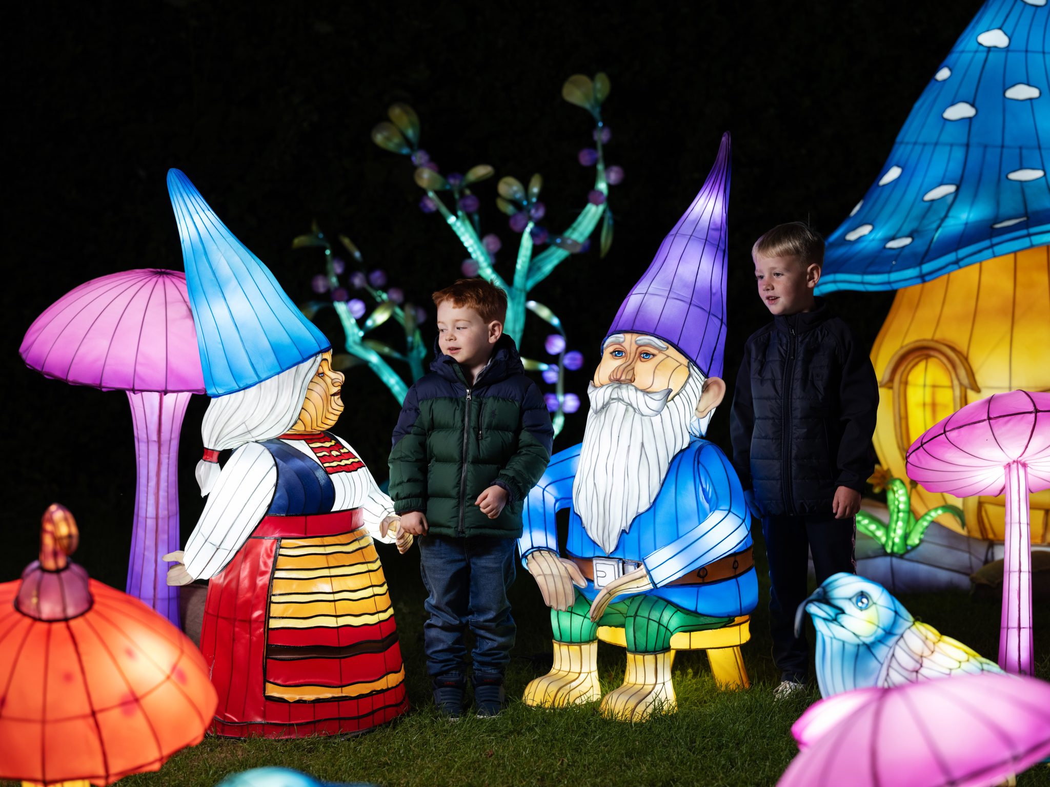 Wild Lights at Dublin Zoo